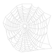 Spider web or net