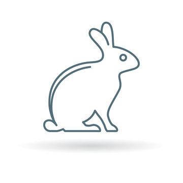 Bunny rabbit icon. Bunny rabbit sign. Bunny rabbit symbol. Thin line icon on white background. Vector illustration.