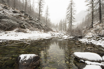 Fototapeta na wymiar A creek in a winter mountain landscape covered with fresh snow