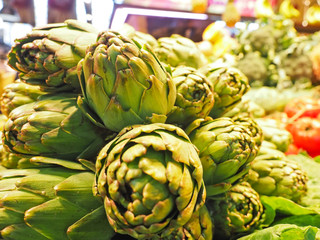 Fototapeta premium アンティチョーク