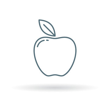 Apple icon. Apple fruit sign. Healthy apple symbol. Thin line icon on white background. Healthy apple vector illustration.