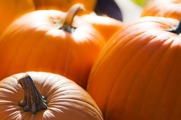 Seasonal Orange Pumpkin background