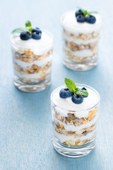 Nachspeise mit Joguhrt, Müsli und Blaubeeren