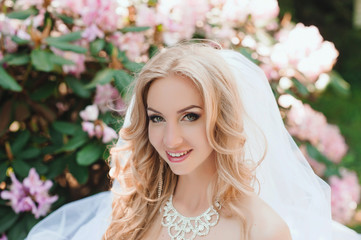 Portrait of a young beautiful bride on the nature, hairstyle, make-up