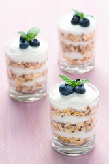Gesundes Dessert mit Joghurt und Heidelbeeren