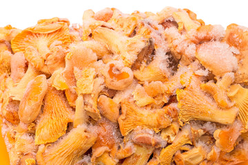 Frozen chanterelles on a white