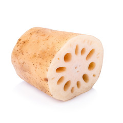 Lotus root on white background