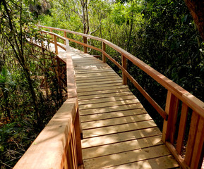 Obraz premium Wooden bridge