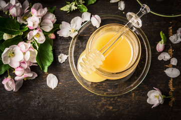 Fresh honey in jar with spring blossom of fruit trees on dark wooden background, top view