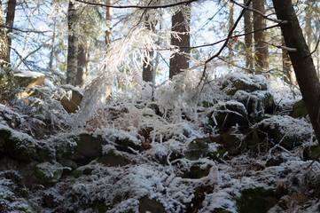sunny winter mountain landscape