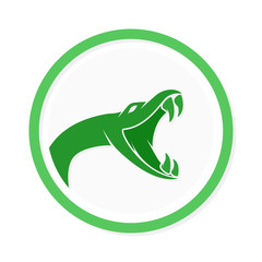Vector snake logo template.  Viper head symbol or icon