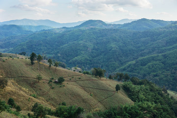 Fototapeta premium house in valley among mountains