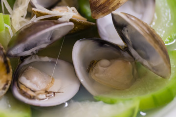 Steam clam and Loofah