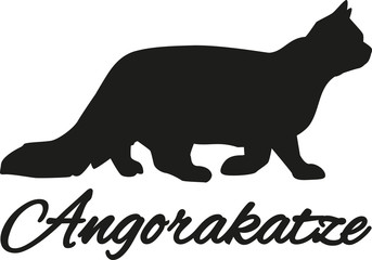 Angora cat with german name
