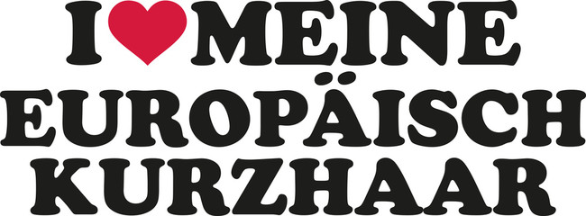 I love european shorthair german