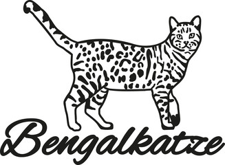 Bengal cat with breed name