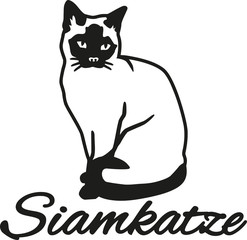 Siamese cat with german name