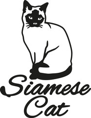 Siamese cat with breed name