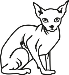 Sphynx cat contour