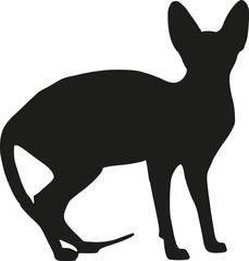 Sphynx cat silhouette
