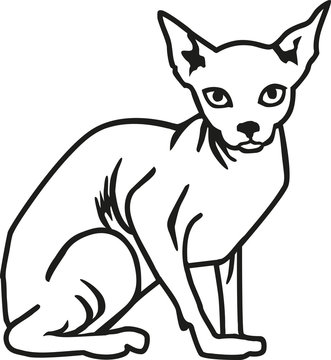 recommend clip art: Sphynx cat contour