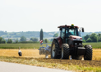 Furchtloser Storch neben Traktor