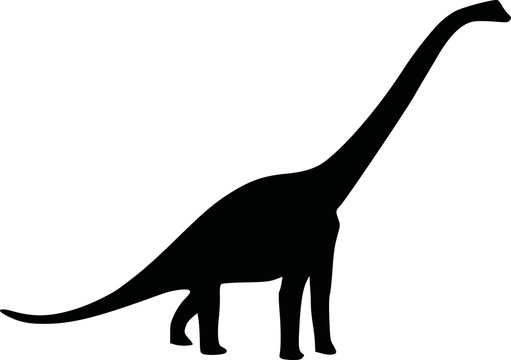 Dinosaur diplodocus silhouette
