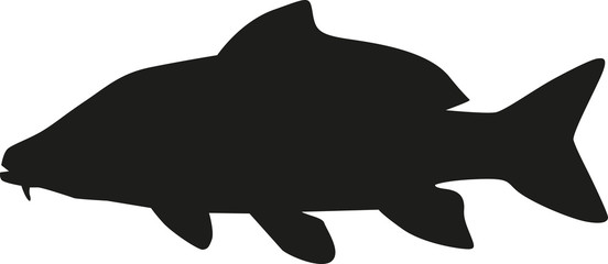 Carp silhouette