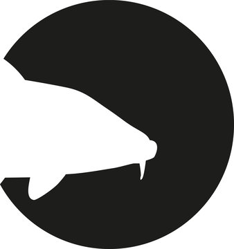 recommend clip art: Carp head in front of black circle