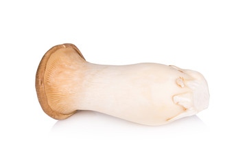 King Oyster mushroom on white backgroud