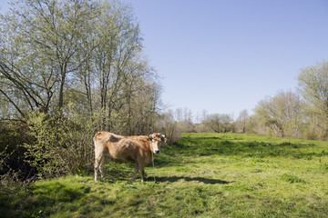 Park do caminho fundo,Portugal.
