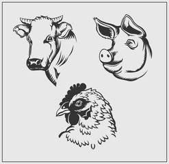 Heads of farm animals. Cow, pig and chicken. Vector monochrome design.