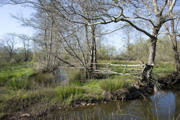 Park do caminho fundo,Portugal.
