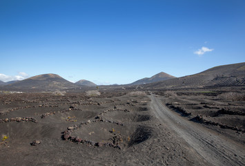 Lanzarote - La Geria, das Weinanbaugebiet 