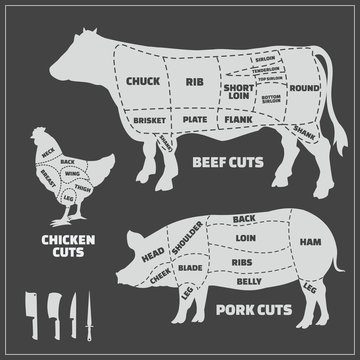 Cuts of pork, chicken and beef. Vector vintage monochrome illustration.