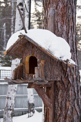 bird house on the tree in winter