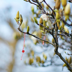 Martisor, symbol of spring