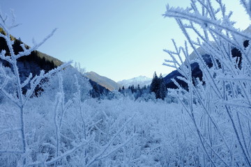 Eisiges Isartal vor Sonnenaufgang