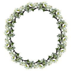 Flower pear isolated 