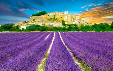 Naklejka na ściany i meble Provence au coucher de soleil, Sud de la France