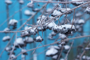 winter background