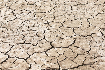 dry soil texture background