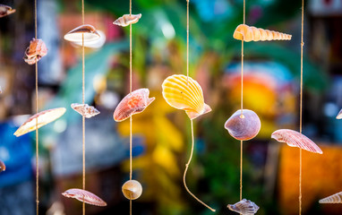 Sea shells souvenirs