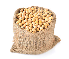 soybean on white background