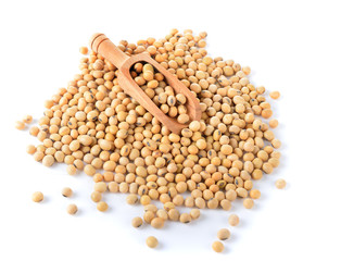 soybean on white background
