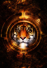 Ancient Mayan Calendar and Tiger head, abstract color Background, computer collage, Eye contact.