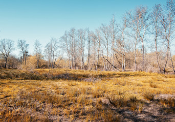 Park do caminho fundo,Portugal.
