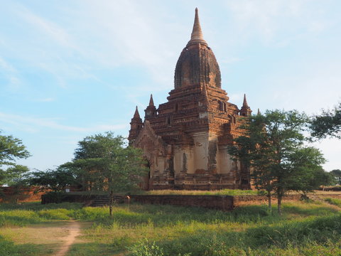 Tham bula paya