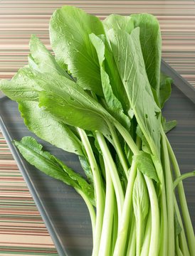 Organic Chinese Cabbage or Bok Choy on A Tray