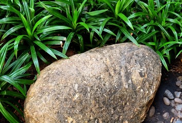 Brown Stone on The Garden with Green Grass